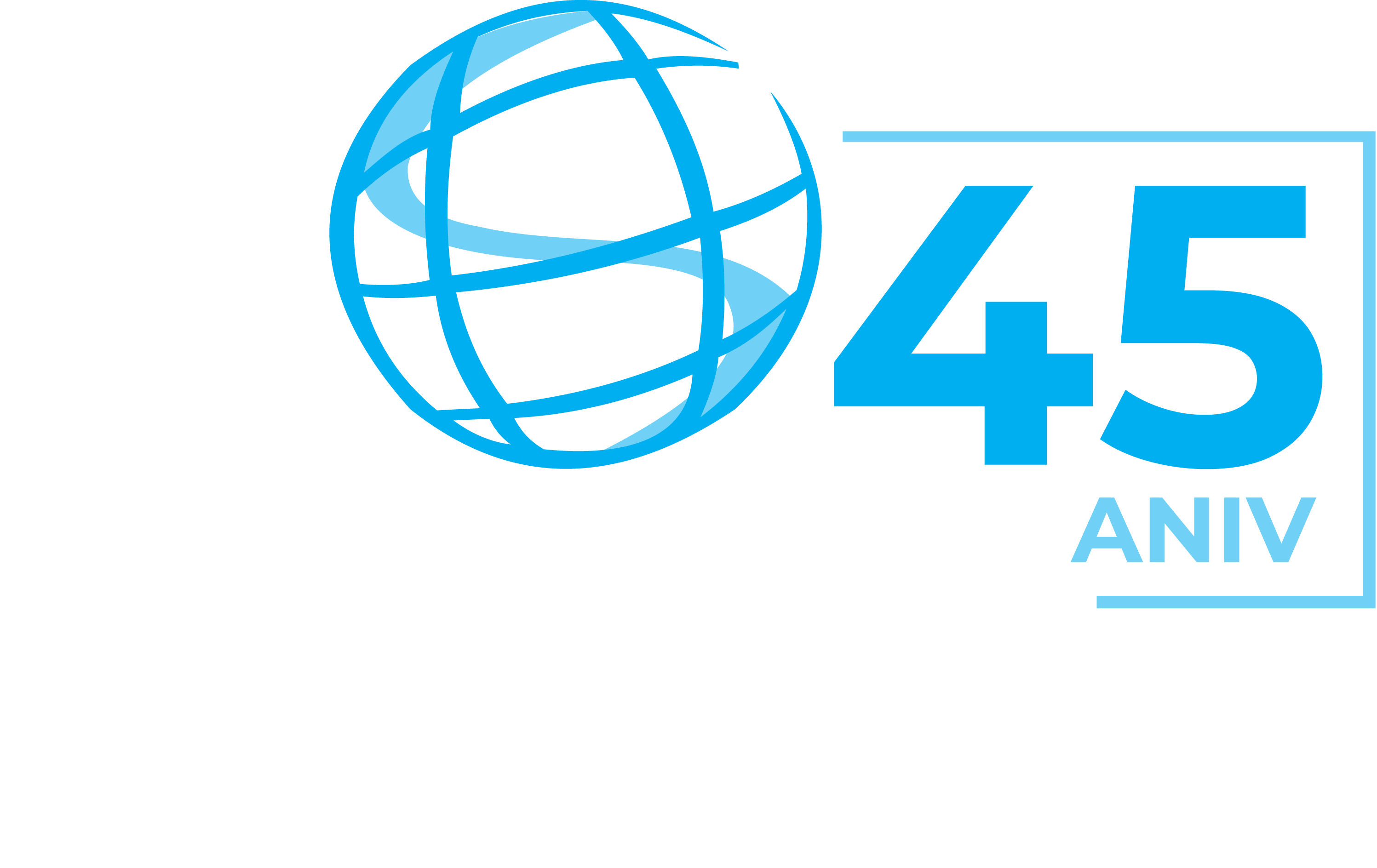 Surtidora de Abrasivos y Productos Industriales, S.A. de C.V.